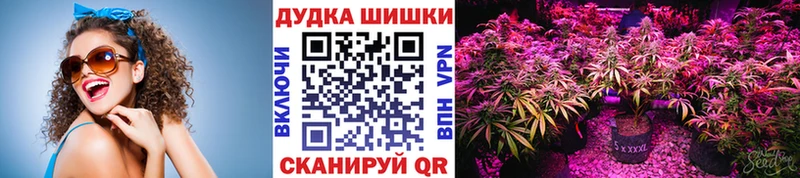 Бошки Шишки LSD WEED  МЕГА ТОР  Задонск  цена  